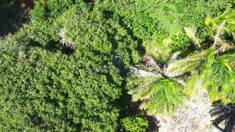 Imagem Terreno à Venda, 1.800 m² em Itacimirim - Camaçari
