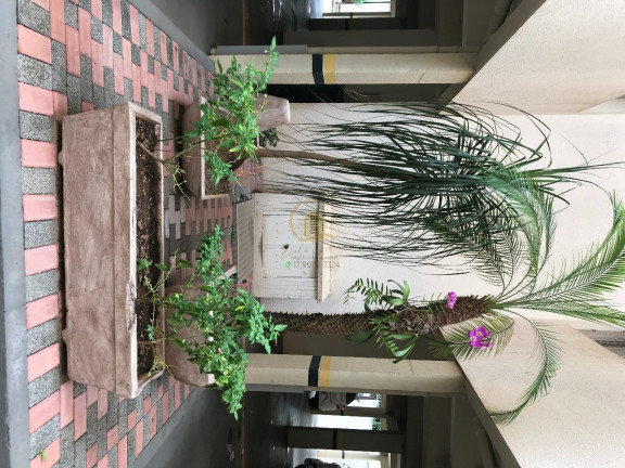 Imagem Apartamento com 2 Quartos à Venda, 85 m² em Residencial Saint Exupéry - São José Do Rio Preto Imagem Apartamento com 2 Quartos à Venda, 85 m² em Residencial Saint Exupéry - São José Do Rio Preto