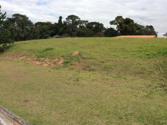 Imagem Terreno à Venda, 500 m² em Santa Adélia - Vargem Grande Paulista