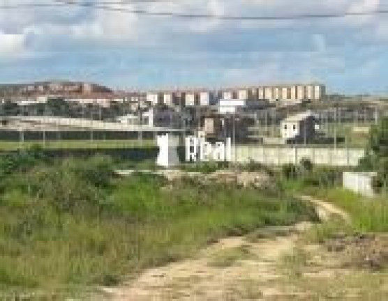 Imagem Terreno à Venda, 25.287 m² em Loteamento Montenegro - Camaçari Imagem Terreno à Venda, 25.287 m² em Loteamento Montenegro - Camaçari