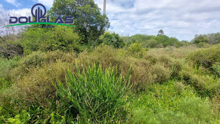 Imagem Chácara à Venda, 20.000 m² em águas Claras - Viamão Imagem Chácara à Venda, 20.000 m² em águas Claras - Viamão
