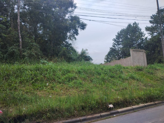 Terreno à Venda,  em São Miguel - Curitiba