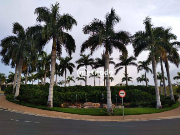 Imagem Terreno à Venda, 1.430 m² em Loteamento Residencial Entre Verdes (sousas) - Campinas Imagem Terreno à Venda, 1.430 m² em Loteamento Residencial Entre Verdes (sousas) - Campinas