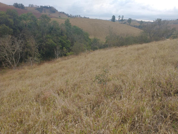 Imagem Chácara à Venda, 20.000 m² em Rio Pardo - Caldas Imagem Chácara à Venda, 20.000 m² em Rio Pardo - Caldas