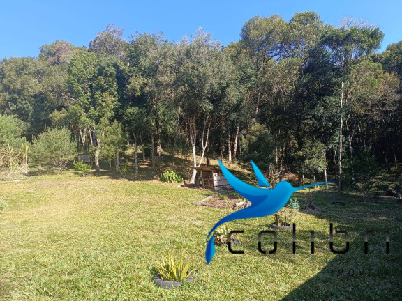 Imagem Chácara com 2 Quartos à Venda, 6.000 m² em Palmital - Agudos Do Sul