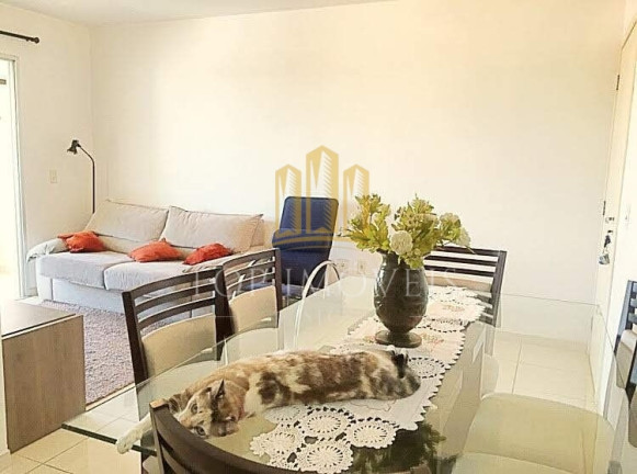Imagem Apartamento com 3 Quartos à Venda, 81 m² em Jardim Paulista - São José Dos Campos Imagem Apartamento com 3 Quartos à Venda, 81 m² em Jardim Paulista - São José Dos Campos