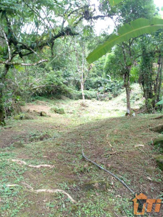 Imagem Chácara com 2 Quartos à Venda, 360 m² em Ressaca - Ubatuba Imagem Chácara com 2 Quartos à Venda, 360 m² em Ressaca - Ubatuba