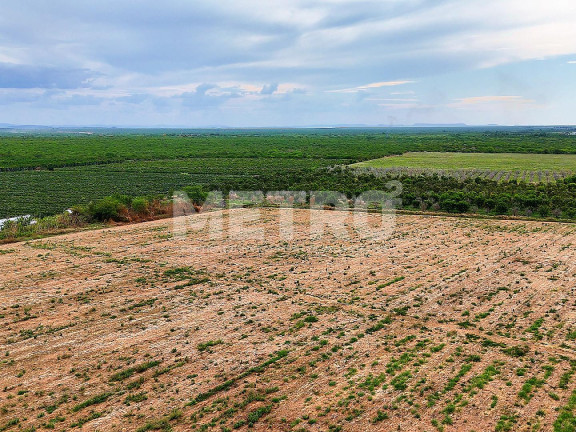 Imagem Fazenda à Venda, em área Rual - Petrolina Imagem Fazenda à Venda, em área Rual - Petrolina