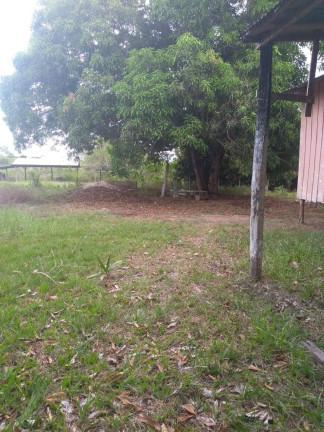 Imagem Chácara à Venda, em Manaus Imagem Chácara à Venda, em Manaus