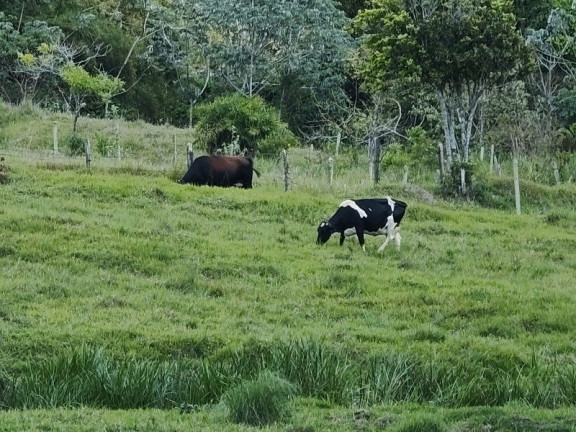 Imagem Imóvel à Venda, em Jacareí Imagem Imóvel à Venda, em Jacareí