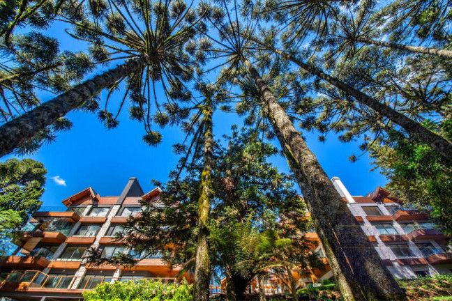 Imagem Apartamento com 3 Quartos à Venda, 319 m² em Planalto - Gramado Imagem Apartamento com 3 Quartos à Venda, 319 m² em Planalto - Gramado