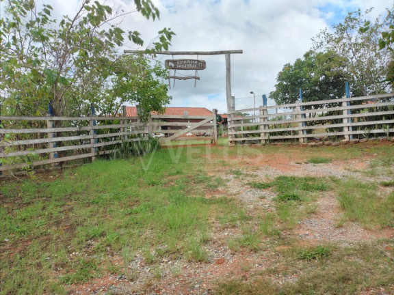 Imóvel com 1 Quarto à Venda, 216 m² em Campo Grande - Itapetininga