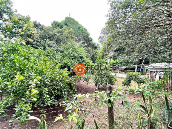 Imagem Chácara com 4 Quartos à Venda, 4.000 m² em Jardim Geriva - Santa Bárbara D'oeste Imagem Chácara com 4 Quartos à Venda, 4.000 m² em Jardim Geriva - Santa Bárbara D'oeste