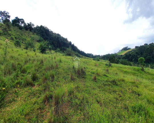 Imagem Imóvel à Venda, 6 m² em Cândido - Campestre