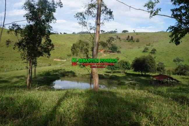 Imagem Chácara à Venda, 30.000 m² em Sob. Consulta - Monteiro Lobato Imagem Chácara à Venda, 30.000 m² em Sob. Consulta - Monteiro Lobato