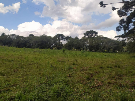 Imagem Terreno à Venda, 5.000 m² em Contenda - São José Dos Pinhais Imagem Terreno à Venda, 5.000 m² em Contenda - São José Dos Pinhais