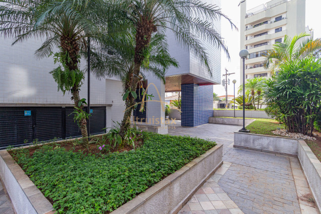 Imagem Apartamento com 3 Quartos à Venda, 74 m² em Vila São Francisco - São Paulo