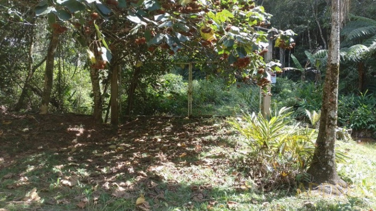 Imagem Imóvel com 1 Quarto à Venda, 20.000 m² em Marechal Floriano - Marechal Floriano