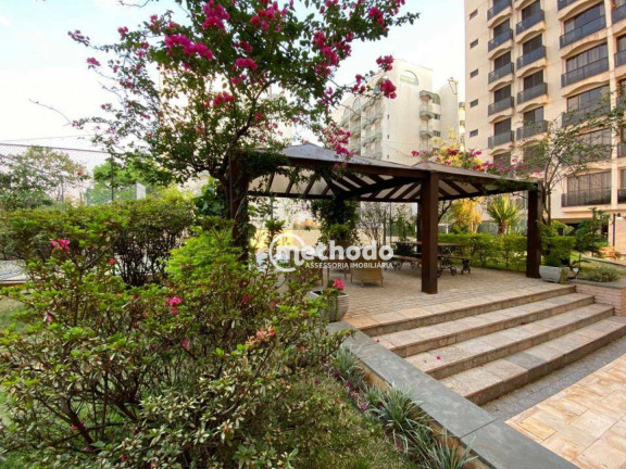 Imagem Apartamento com 3 Quartos à Venda, 100 m² em Jardim Das Paineiras - Campinas Imagem Apartamento com 3 Quartos à Venda, 100 m² em Jardim Das Paineiras - Campinas