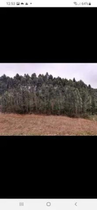 Imagem Imóvel à Venda, 181.500 m² em São João Do Caiva - Lapa Imagem Imóvel à Venda, 181.500 m² em São João Do Caiva - Lapa