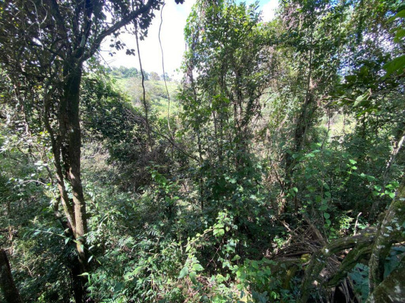 Imagem Terreno à Venda, 3 m² em Santa Terezinha De Minas - Itatiaiuçu