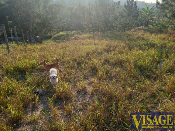 Terreno à Venda, 980 m² em Veraneio Ijal - Jacareí