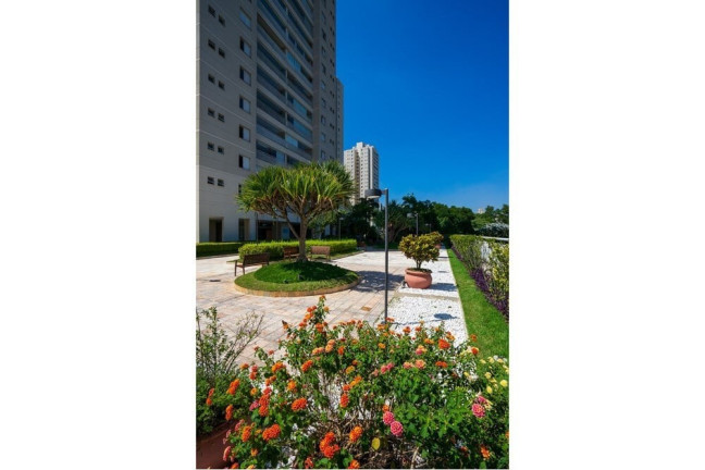 Imagem Apartamento com 3 Quartos à Venda, 145 m² em Vila Sônia - São Paulo Imagem Apartamento com 3 Quartos à Venda, 145 m² em Vila Sônia - São Paulo