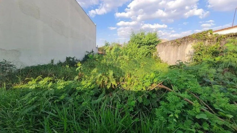 Imagem Imóvel à Venda, 258 m² em Jardim Avelino - São Paulo Imagem Imóvel à Venda, 258 m² em Jardim Avelino - São Paulo