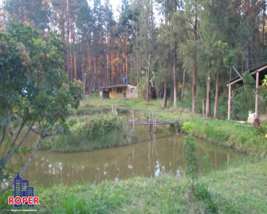 Chácara com 3 Quartos à Venda, 12.000 m² em Quatinga - Mogi Das Cruzes