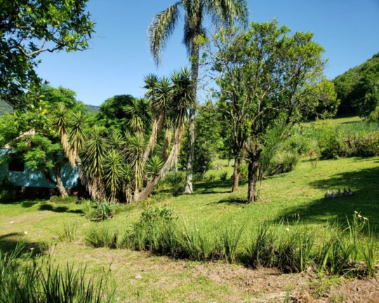 Imagem Imóvel à Venda, em Linha Imperial - Nova Petrópolis Imagem Imóvel à Venda, em Linha Imperial - Nova Petrópolis