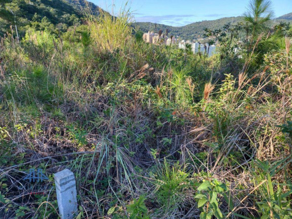 Imagem Terreno à Venda, 450 m² em Itacorubi - Florianópolis Imagem Terreno à Venda, 450 m² em Itacorubi - Florianópolis