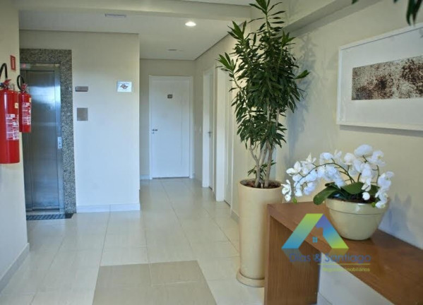 Imagem Apartamento com 3 Quartos à Venda, 64 m² em Cursino - São Paulo