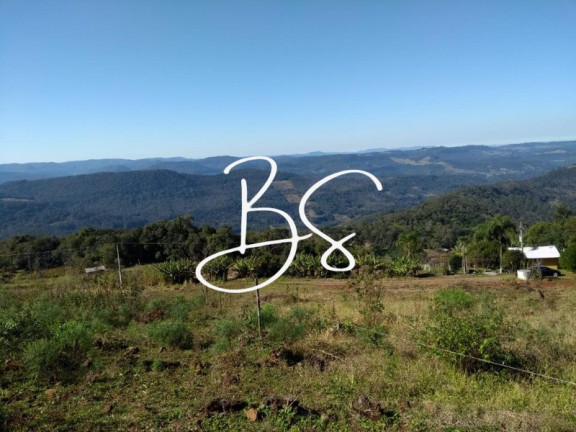 Imagem Terreno à Venda, 30.000 m² em Linha Carahá - Gramado