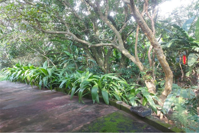 Imagem Imóvel com 2 Quartos à Venda, 2.733 m² em Quintas De Pirapora I - Salto De Pirapora Imagem Imóvel com 2 Quartos à Venda, 2.733 m² em Quintas De Pirapora I - Salto De Pirapora