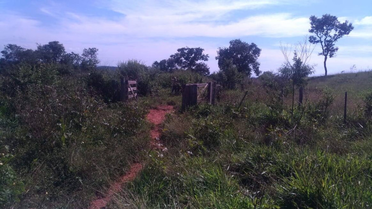 Imagem Fazenda à Venda, 581 m² em Getulio Vargas - Guiratinga Imagem Fazenda à Venda, 581 m² em Getulio Vargas - Guiratinga