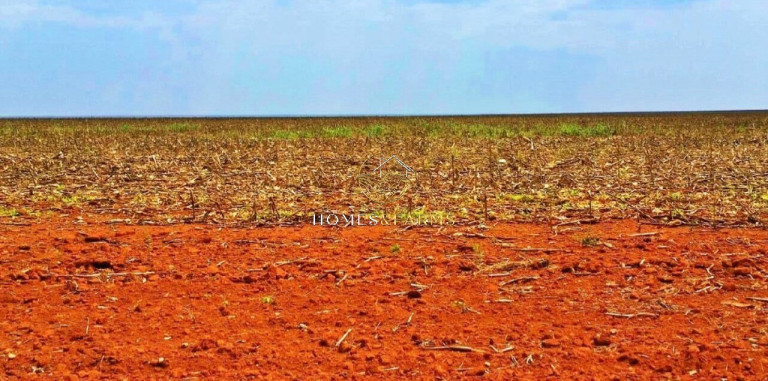 Imagem Imóvel com 3 Quartos à Venda, 90.000 m² em Jardim Primavera - Sinop Imagem Imóvel com 3 Quartos à Venda, 90.000 m² em Jardim Primavera - Sinop