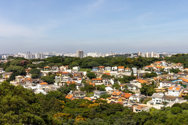 Imagem Apartamento com 3 Quartos à Venda, 75 m² em Jardim Iris - São Paulo Imagem Apartamento com 3 Quartos à Venda, 75 m² em Jardim Iris - São Paulo