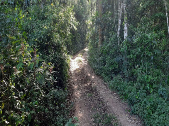 Imagem Terreno à Venda, em Bavaria - Nova Petrópolis Imagem Terreno à Venda, em Bavaria - Nova Petrópolis