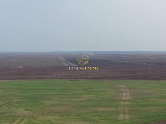 Imagem Imóvel com 3 Quartos à Venda, 47.000 m² em Zona Rural - Conceição Do Araguaia Imagem Imóvel com 3 Quartos à Venda, 47.000 m² em Zona Rural - Conceição Do Araguaia