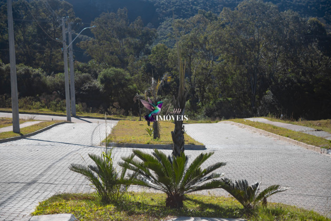 Imagem Terreno à Venda, 187 m² em Planalto - Santana Do Livramento Imagem Terreno à Venda, 187 m² em Planalto - Santana Do Livramento