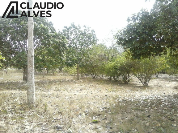 Imagem Terreno à Venda, 17.300 m² em Jaíba - Feira De Santana Imagem Terreno à Venda, 17.300 m² em Jaíba - Feira De Santana