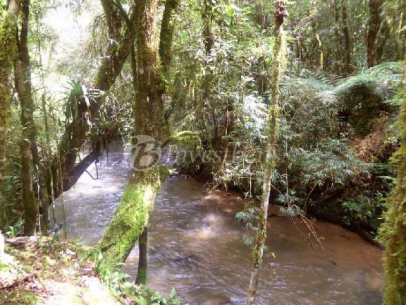 Imagem Imóvel com 2 Quartos à Venda, 87.670 m² em Centro - Tijucas Do Sul
