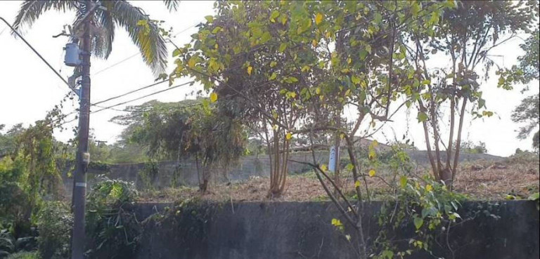 Imagem Terreno em Condomínio à Venda, 3.203 m² em Parque Primavera - Carapicuíba Imagem Terreno em Condomínio à Venda, 3.203 m² em Parque Primavera - Carapicuíba