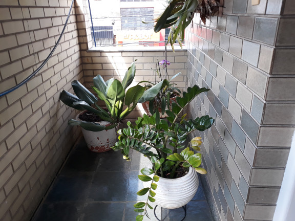 Imagem Casa com 3 Quartos à Venda, 140 m² em R$890.000,00 // Prado - Belo Horizonte Imagem Casa com 3 Quartos à Venda, 140 m² em R$890.000,00 // Prado - Belo Horizonte