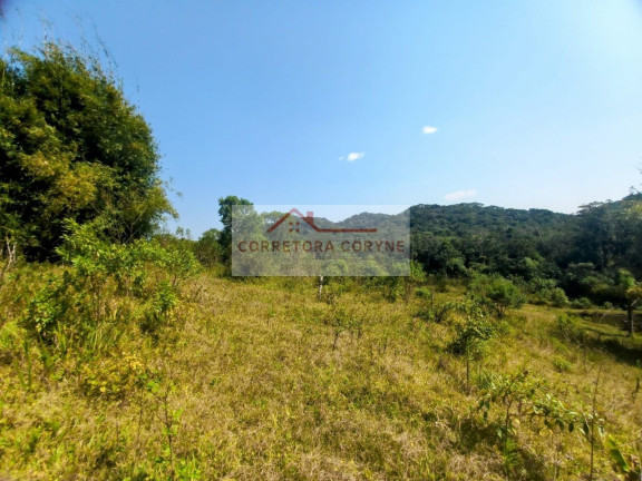 Imagem Terreno à Venda, 24.000 m² em Palmeiras - Juquitiba Imagem Terreno à Venda, 24.000 m² em Palmeiras - Juquitiba