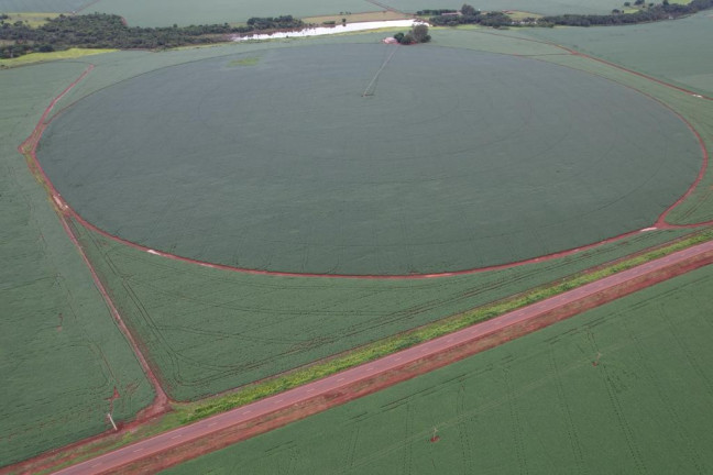 Imagem Fazenda à Venda, 17 m² em Zona Rural - Acreúna Imagem Fazenda à Venda, 17 m² em Zona Rural - Acreúna