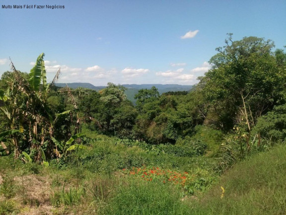 Imagem Terreno à Venda, em Vila Olinda - Nova Petrópolis Imagem Terreno à Venda, em Vila Olinda - Nova Petrópolis