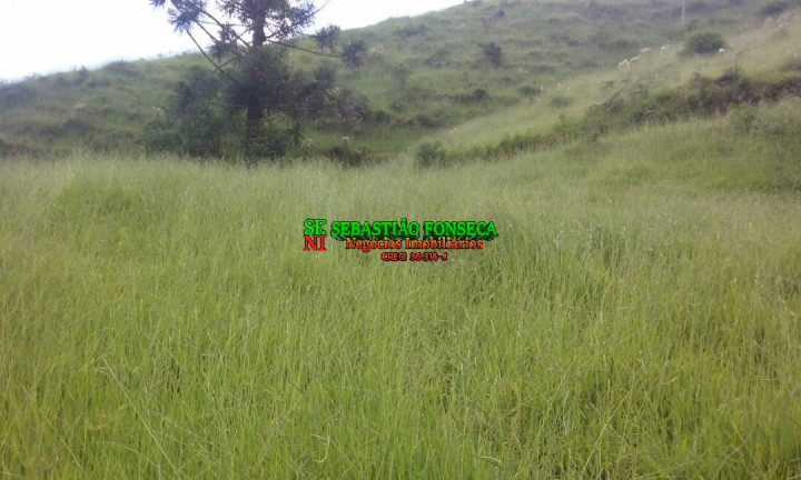 Imagem Chácara à Venda, 484.000 m² em São Francisco Xavier - São José Dos Campos Imagem Chácara à Venda, 484.000 m² em São Francisco Xavier - São José Dos Campos
