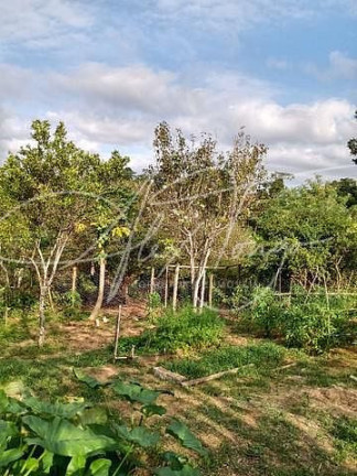 Imagem Fazenda à Venda, 100 m² em Timbuí - Fundão Imagem Fazenda à Venda, 100 m² em Timbuí - Fundão