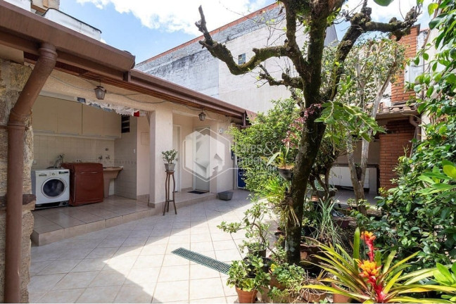 Imagem Casa com 3 Quartos à Venda, 300 m² em Chácara Monte Alegre - São Paulo Imagem Casa com 3 Quartos à Venda, 300 m² em Chácara Monte Alegre - São Paulo